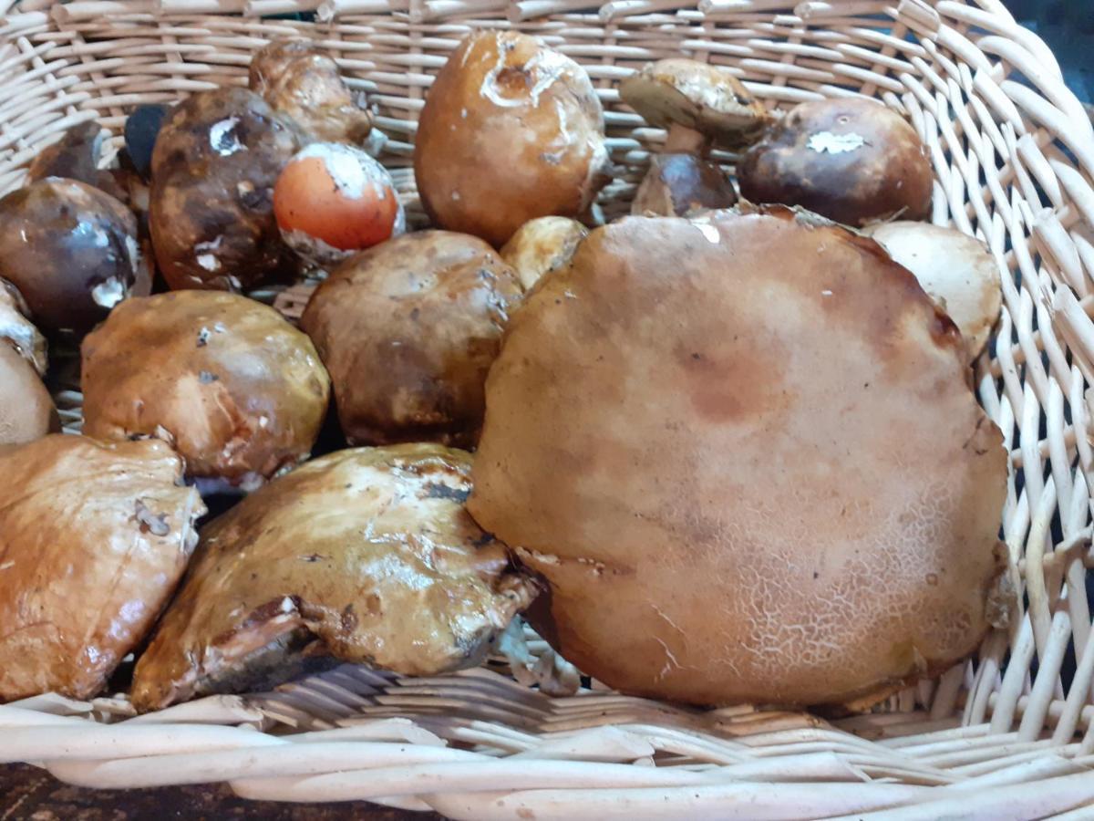 Willa La Vecchia Quercia Pergine Valdarno Zewnętrze zdjęcie