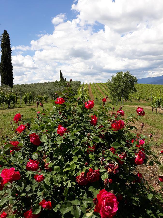 Willa La Vecchia Quercia Pergine Valdarno Zewnętrze zdjęcie