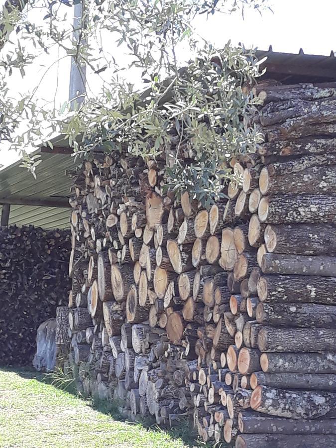 Willa La Vecchia Quercia Pergine Valdarno Zewnętrze zdjęcie